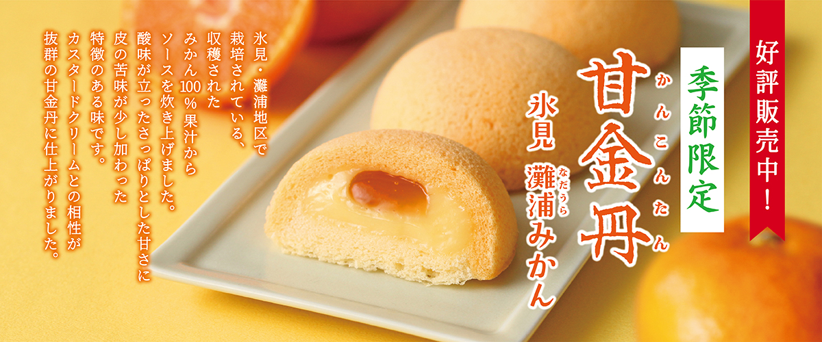 甘金丹 氷見灘浦みかん