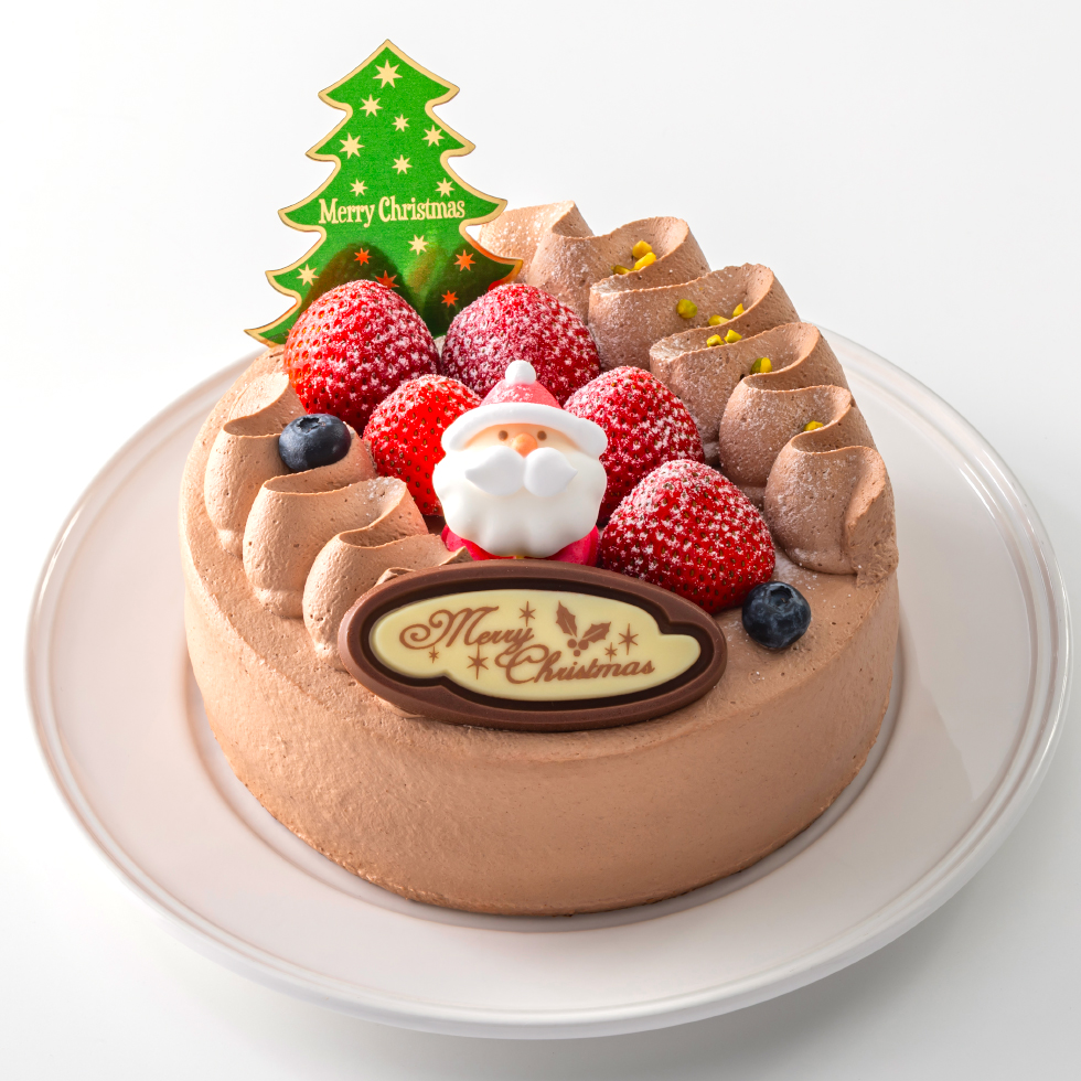 チョコクリームデコレーション-クリスマスケーキ